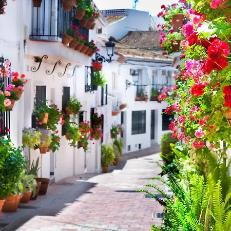 アパート Sol De *